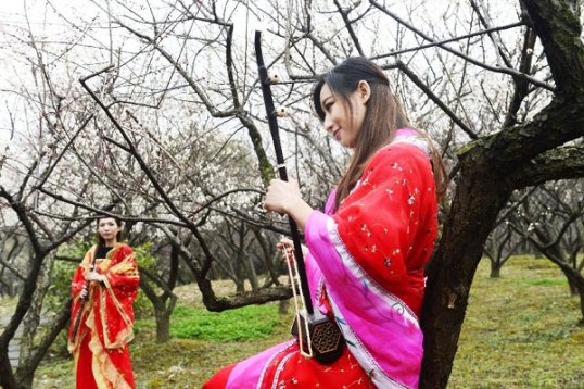 Visitors wearing traditional Chinese garments enjoy blooming plum blossoms at Du Fu Thatched Cottage in Chengdu, capital city of southwest China's Sichuan province on Feb. 2, 2012